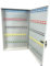 LEOMAR Schlüsselschrank, Schlüsselkasten mit 100 Haken, Schlüsselbox aus Stahlblech, mit Festen Hakenleisten, Organizer zur Wandbefestigung, Abschließbar, mit Montagematerial, 6 x 35 x 52 cm