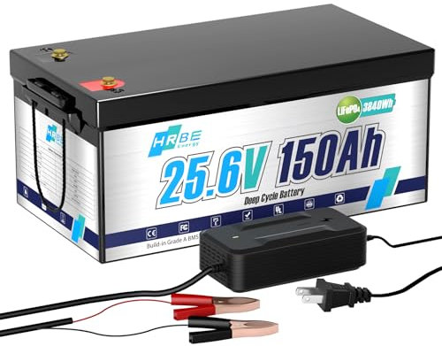 HRBEENERGY Batteria LiFepo4 24V 150Ah con caricabatterie, batteria al litio portatile ricaricabile integrata 100A BMS e 4000-15000 cicli, perfetta per camper, motori per traina, barche