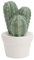 SOIMISS Cerámica Cactus Estatua Pequeño Monje Figura Bonsái Estatua Decorativa Porcelana Figura Conjunto Decoración Verde