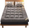 DARANCA Faltbare Tatami-Futon-Matratze, 10 cm dick, japanische Schlafmatratze, Dicke Bodenmattenauflage, for Zuhause, Schlafsaal(Gray,100x200cm)