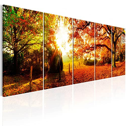 B&D XXL Acrylglasbild Wald 100x40 cm 5 Teilig Wandbild auf Acryl Glasbilder Kunstdruck Moderne Acrylglas Platte Wanddekoration Geschenke Heimdekoration Glasbild - Landschaften Natur Panorama Baume