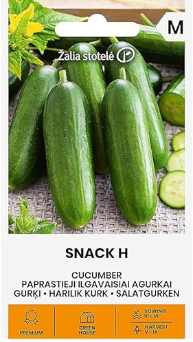 Zalia stotele | Salatgurken - Snack H samen | Gemüsesamen | Pflanze samen | Gurken samen | Gardensamen | Sehr frühe, selbstbefruchtende Hybride, resistent gegen Krankheiten | 1 Pack