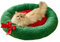 JINGTOPS Bettmatte für Haustiere Weihnachtskatzekatzenbett Flauschig, Katzenkorb Katzenkissen KuschelhöHle Katze Katzenkorb Donut-Kuschelbett,Katzenhaus Indoor Hundebett Kleine Hunde (L, Round)