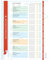 Navaris Haushaltsplan magnetisch abwischbar 40x32 cm - Wochenplaner Putzplan groß - Aufgaben Tafel für Kinder Familie WG - Kalender Magnettafel