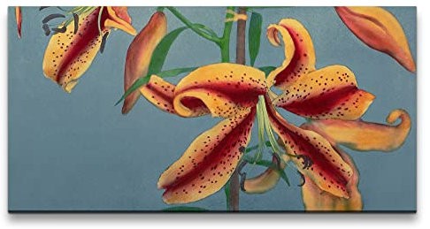 Paul Sinus Remaster 120x60cm Ogawa Kazumasa berühmte Fotografie Blume Blüte Lilien Wunderschön