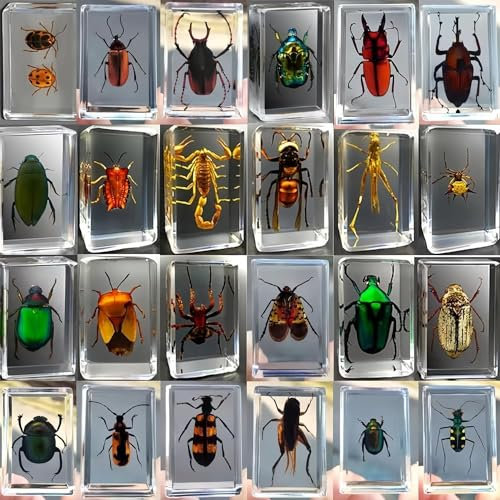KSVMOAG 12 Stück Harz Insekten,Echte Insekten-Exemplare aus transparentem Insekten in kunstharz,Kinder-Käfer für Vorschule, Wissenschaft im Klassenzimmer und Anzeige zu Hause