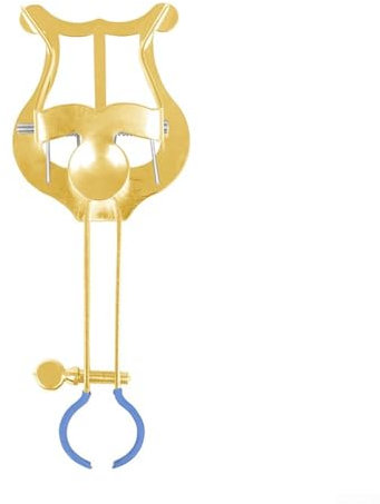 HEBEOT Lyre de défilé pour trompette - Lyre de fanfare à pince pour partition - 14,7 x 2,3 x 4,6 cm (doré)