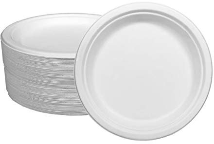 Ecorigin Platos desechables y ecológicos de caña de azúcar. Pack de 100 Unidades y 22 cm. Compostables y biodegradables.
