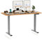 FLEXISPOT Hemera Höhenverstellbarer Schreibtisch (120 x 60 cm), mit Memory-Steuerung und Softstart/-Stop& integriertes Anti-Kollisionssystem, Grau Gestell + Ahorn Tischplatte