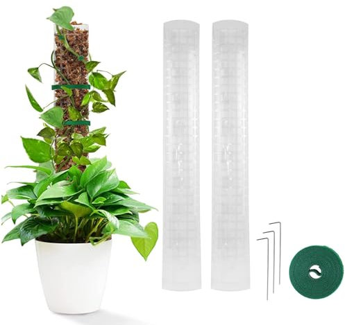 Assistente rampicante delle piante, Bastone Muschiato per Piante, Moss Pole Monstera - Bastoncini per Muschio, 24 Pollici, in plastica, per Piante in Vaso per Interni, Philodendron Creepers (2PCS)