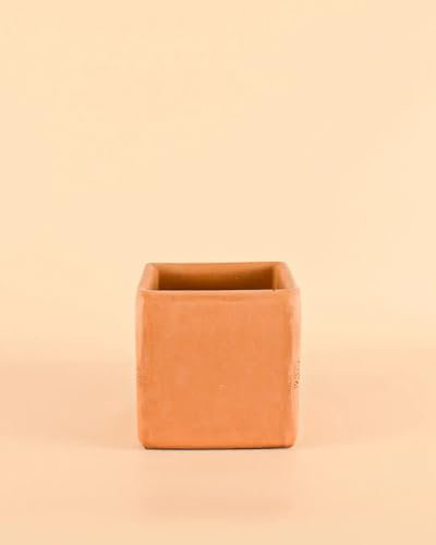 Pur Plant Maceta Cuadrada Terracota 12cm | Decorativas