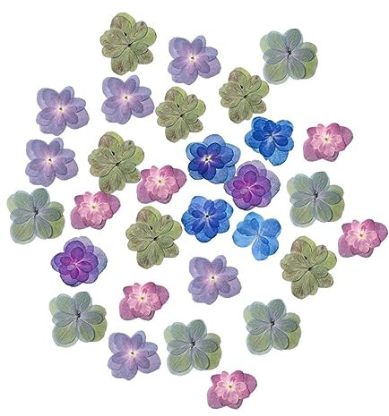 Cabilock 30 Stück Trockenblumen Gepresste Hortensien Getrocknete Blumen Für Selbstgemacht Harz Schmuck Kerzen Basteln Nagelkunst Schmuckanhänger Dekoration