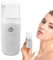 Nano Facial Mister portátil – Práctico pulverizador de niebla fría | 30 ml de agua visual pulverizador facial | atomización hidratante Nano Mister | Práctico pulverizador de niebla | Vaporizador