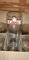 LOT DE 6 VERRES 50 CL BIERE CIMOISE - NEUF - RARE
