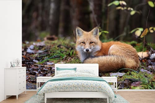 Selbstklebend Tapete Wandpapier Wandaufkleber Fototapete Tapeten Wanddeko 600x400 cm Fuchs - Wald - Tier