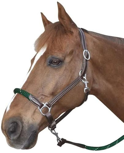 Canter Lederhalfter für Pferde mit Seil