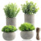 Ehuihuan 4 Pezzi Mini Piante Artificiali in Vaso, Pianta Finta da Interno, Piccolo Piante Artificiali per Ufficio Bagno Davanzale Soggiorno Balcone Decorazione