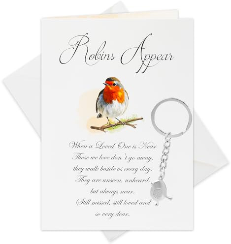 DPKOW Robin Sympathy Card Memorial Gifts, Thinking of You Card Bereavement Sympathy Gifts Sorry for Your Loss Keyring Robin Keychain Condolences Memorial Gift, Robins Appear When Loved Ones are Near