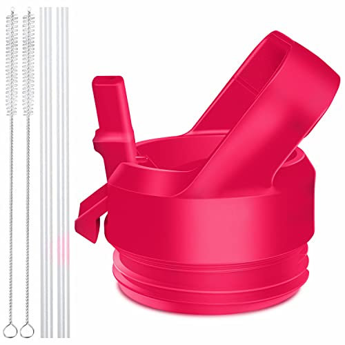 AIPENQ Straw Cap for YETI Rambler Bottle and RTIC Bottle, Straw Lid with 2 Straws and 2 Brushes (Bimini Pink)