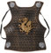 MUCKLILY Rüstungen Für Jungen Exquisites Cosplay Kostümset Robustem Für Mittelalterliche Spiele Kreative Rollenspiele Brustpanzer Mit Schild