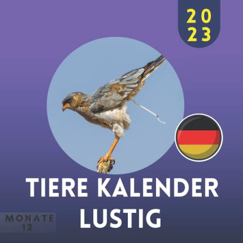 Tiere kalender lustig 2023: 12 Monate Lustiger Haustier Kalender 2023 für hundebesitzer