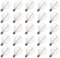 ROMANJOY 25pcs Ampoules Guirlandes Exterieure, Ampoule G40 Led E12 2200K Blanc Chaud, Ampoule 1W(Équivalent 10W),100LM,AC220-240V,Lampe Filament LED en Verre Transparent Pour le Mariage,Patio,Fête