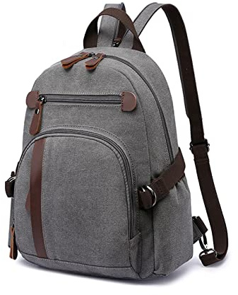 FANDARE Vintage Rucksack Leinwand Schulrucksack Schulranzen Daypacks Laptop Rucksack Herren Damen Schultaschen für 12.9 Zoll Laptop Universität Wandern Reisen Freizeit Arbeit Tagesrucksack Grau