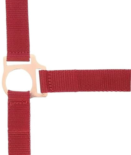 NORTON „Roségold“ Halfter und Führstrick, Shetty, bordeauxrot