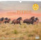 Geliebte Pferde 2026 – DUMONT-Wandkalender – Pferdefotografie von Christiane Slawik Format – 38,0 x 35,5 cm: Beloved Horses - Adorables chevaux