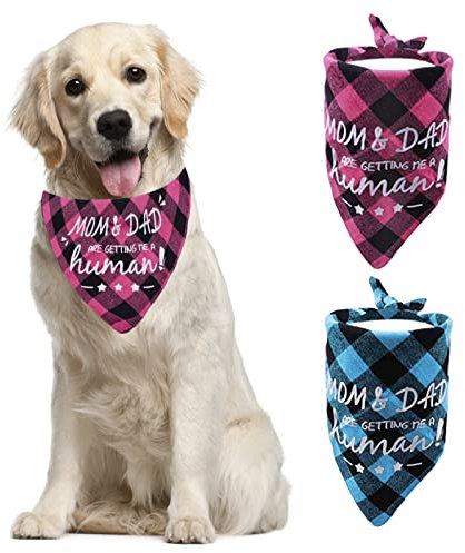 HACRAHO Hundehalstuch, kariert, dreieckig, für die Hochzeit, für Hunde mit der Aufschrift Mom & Dad Are get me a hirman, Blau und Rosenrot, 2 Stück