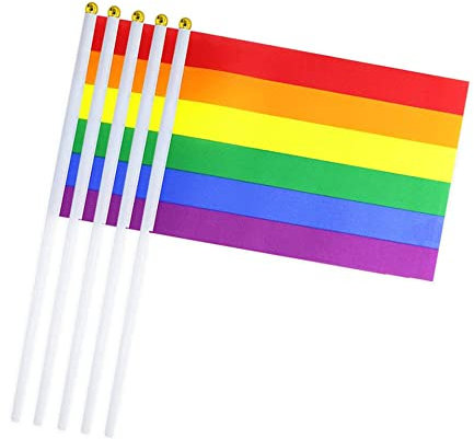 5 Stück Regenbogen Gay-Pride Homosexuell LGBTQ Stick Flagge, Kleine Mini Hand LGBT Fahnen Regenbogenfahne auf Stöcken, Dekorationen Zubehör für Karneval, Gay Pride Rainbow Party