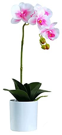Yining-999 Künstliche Blumen Seiden-Phalaenopsis-Blumenarrangement, künstliche Orchideenblüten mit weißer Vase, Hochzeitsfeier, Esstischdekoration, Rosa Künstliche Pflanzen Blumen (Size : M)