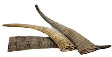 Herders Choice Chews Dried Goat Horns (Small 3 pcs.)