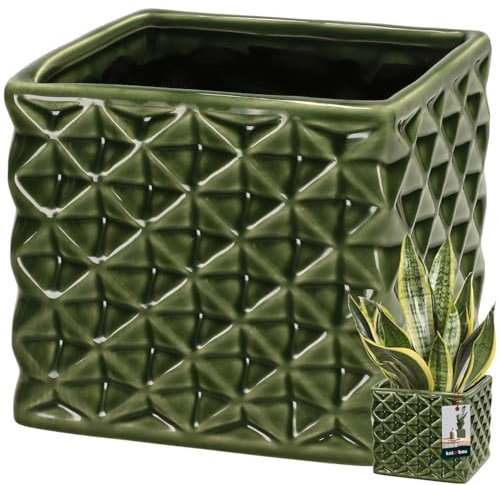 KOTARBAU® Maceta de cerámica esmaltada, cuadrada, verde, 14 x 14 cm, altura de 13 cm, para plantas de interior, orquídeas y suculentas, maceta, maceta, maceta, maceta, macetero, cuadrado, colección de