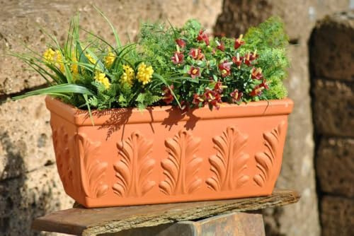 GartenGees Pflanzkasten,Blumenkasten,Terracotta,Blattmuster,frostfest,3 Größen wählbar (50 cm)