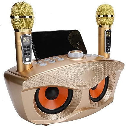 Karaoke-Maschine, 4.2 Karaoke-Lautsprecher mit 2 Drahtlosen Mikrofonen, Tragbares Stereo-PA-Lautsprechersystem für Home Party, Meeting, Hochzeit (Gold)