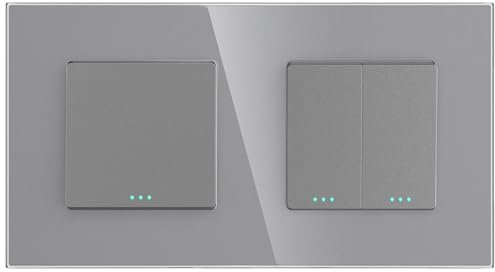 PULSAR Unterputz Lichtschalter 2-Fach Grau Glas mit Doppelschalter, Doppel Schalter mit Glasrahmen 10A 250V, Doppellichtschalter Wandschalter