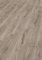 EGGER Aquadura Hybridboden EDF204 Panora Eiche grau 1292x193x7,5mm (1,995m²)