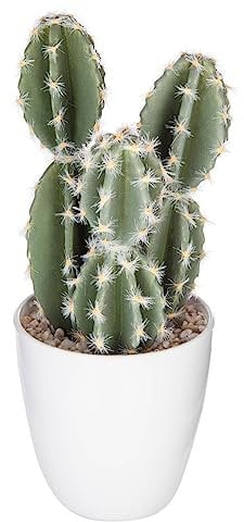 Atmosphera - Plante succulente et Cactus H18 - Modèle 4