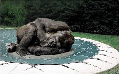 AviiSo Bâche de Piscine Rond 10m 9m 8m 7m 6m 5m 4m 3m 2m, Couverture de Piscine creusée de sécurité en Maille d'hiver, Format personnalisé (Size : 12ft/3.7m)