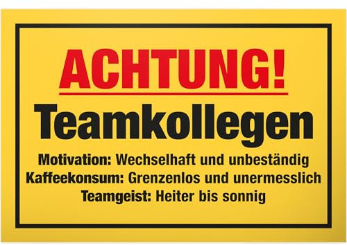 DankeDir! Teamkollegen - Schild 30 x 20 cm - Party Geschenkidee Deko Kollegen Freunde Partydeko Geschenk - Geburtstagsgeschenk Türschild lustiger Spruch Spruchschild Büro Team