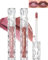 Glitzer Lipgloss Set-2Pcs Metallic Diamond Flüssiger Lippenstift, Glitter Schimmer Lip Gloss Langanhaltend Wasserdicht, Non-Stick Cup Hochpigmentiert Lip Tint Gloss Makeup für Frauen-01+02