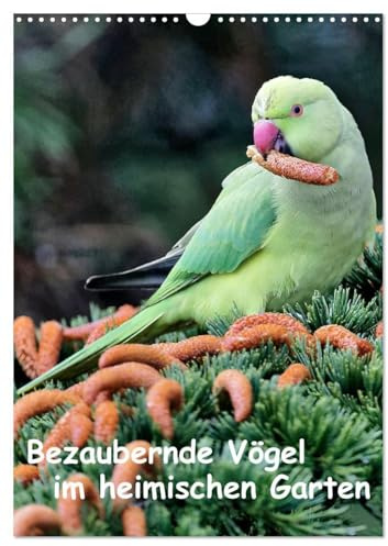 Bezaubernde Vögel im heimischen Garten (Wandkalender 2026 DIN A3 hoch), CALVENDO Monatskalender: Wunderschöne Aufnahmen, die die Pracht, Vielfalt und ... für jeden Vogelliebhaber. (CALVENDO Tiere)