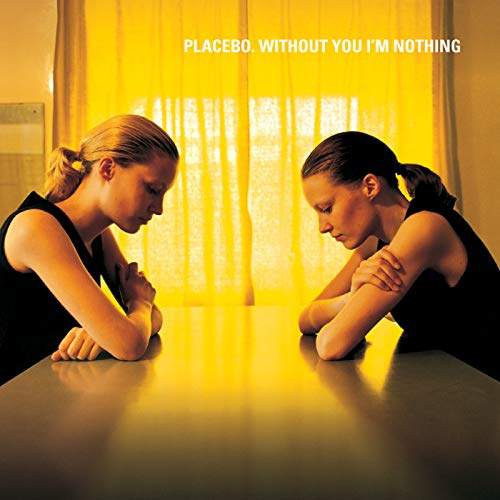 Without You I'M Nothing [Vinyl LP]