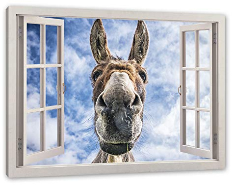 Pixxprint Lustiger Esel, Fenster, Größe: 60x40cm, Leinwandbild, fertig gespannt, Wandbild, Dekoration, Kunstdruck, kein Poster