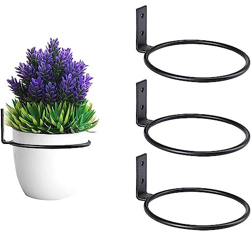 GEFAEJIFO 3 Stück Blumentopfhalter Wand Pflanzer Rack Halterung Wandhalterung Blumentopfhalter Ring Pflanze Topf Kleiderbügel