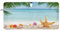 Sea Shell Seestern Windschutzscheibe Sonnenschutz Faltbare Auto Sonnenblende für Frontscheibe Auto Sonnenschutz für Van Auto LKW Schild blockiert UV-Strahlen Auto Innenraum Zubehör 76,2 x 150,9 cm