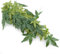 FTVOGUE Artificial Hanging Leaves for Fish Tank 40cm