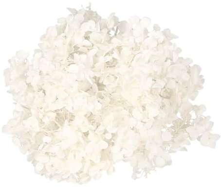 GOOHOCHY 1packung Ewige Blütenblätter Aus Getrockneter Hortensie Natürliche Frische Konservierte Blumen Für -Dekorationen Für Nailart Hochzeiten Und Bastelprojekte Weiß