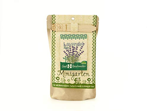Die Stadtgärtner: Bio-Minigarten Lavendel I Komplettes Anzuchtset mit Bio-Saatgut & Gartenerde für bis zu 50 Pflanzen I Premium Kräuter-Samen & Anzuchterde I Pflanze deinen eigenen Kräutergarten